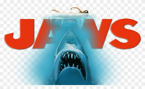 JAWS 2020.2006.12 Crack + Authorization Code (2020) Free Download