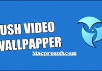 https://macprosoft.com/push-video-wallpaper-crack/